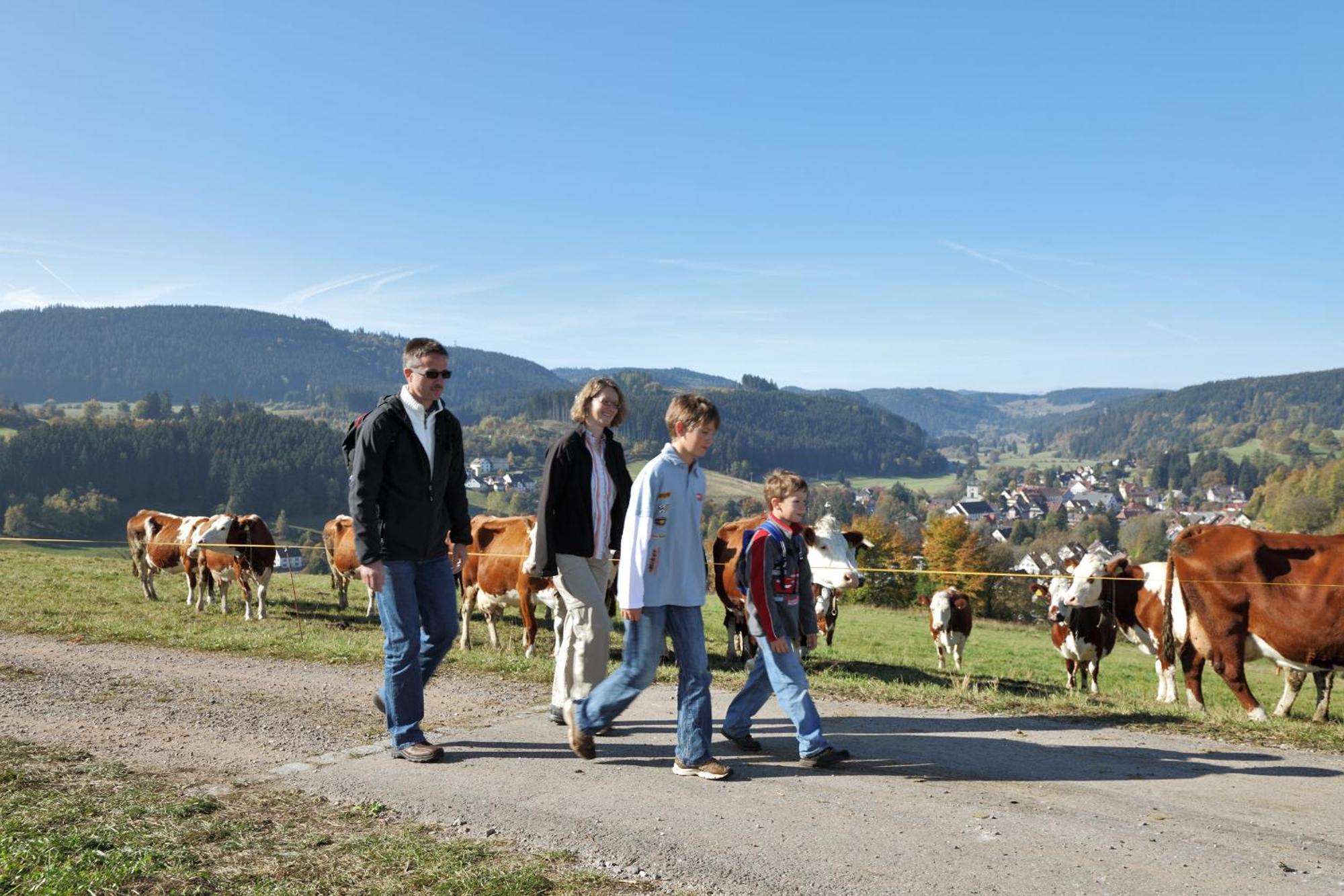 Pension Waldwinkel Lenzkirch Zewnętrze zdjęcie
